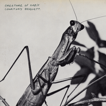Load image into Gallery viewer, Courtney Barnett - Creature Of Habit