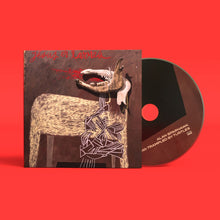 Load image into Gallery viewer, Alan Sparhawk - With Trampled By Turtles