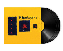 Load image into Gallery viewer, Pinegrove - Everything So Far ( 11th Anniversary Edition )