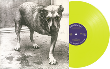 Load image into Gallery viewer, Alice In Chains - Alice In Chains ( 30th Anniversary )