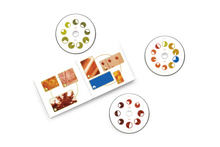 Load image into Gallery viewer, Aphex Twin - Selected Ambient Works Volume II (Expanded Edition)