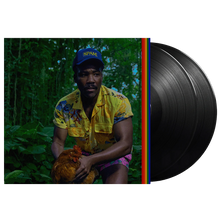Load image into Gallery viewer, Childish Gambino - Bando Stone And The New World