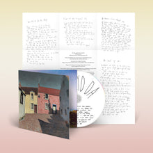 Load image into Gallery viewer, Bill Ryder-Jones - Iechyd Da