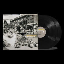 Load image into Gallery viewer, Billy Bragg & Wilco - Mermaid Avenue