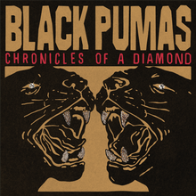 Load image into Gallery viewer, Black Pumas - Chronicles of a Diamond