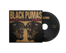 Load image into Gallery viewer, Black Pumas - Chronicles of a Diamond