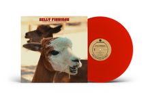 Load image into Gallery viewer, Kelly Finnigan - B Sides, Singles And Forgotten Gems