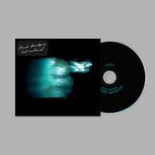 Load image into Gallery viewer, Phoebe Bridgers - Lost Weekend