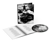 Load image into Gallery viewer, David Gilmour - Luck and Strange