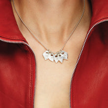 Load image into Gallery viewer, Hater - Mosquito