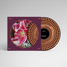 Load image into Gallery viewer, Richard Hawley - Coles Corner