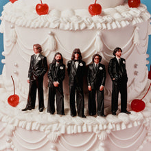 Load image into Gallery viewer, Blossoms - Songs From The Wedding Cake