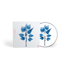 Load image into Gallery viewer, Matt Berninger - Get Sunk