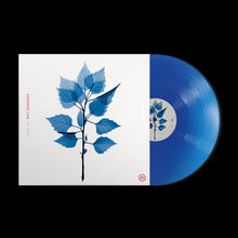 Load image into Gallery viewer, Matt Berninger - Get Sunk