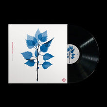 Load image into Gallery viewer, Matt Berninger - Get Sunk