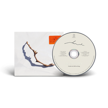 Load image into Gallery viewer, P J Harvey - I Inside The Old Year Dying