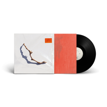 Load image into Gallery viewer, P J Harvey - I Inside The Old Year Dying