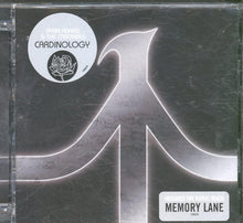 Load image into Gallery viewer, Ryan Adams