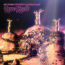 Load image into Gallery viewer, Super Furry Animals - Love Kraft ( 20th Anniversary )