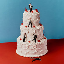 Load image into Gallery viewer, Blossoms - Songs From The Wedding Cake