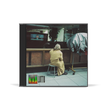 Load image into Gallery viewer, They Are Gutting A Body Of Water - Lotto