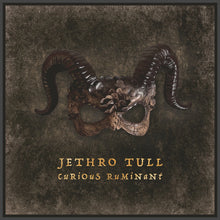 Load image into Gallery viewer, Jethro Tull - Curious Ruminant