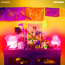 Load image into Gallery viewer, Underworld - Strawberry Hotel