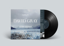 Load image into Gallery viewer, David Gray - Life In Slow Motion ( 20th Anniversary Edition )