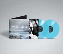 Load image into Gallery viewer, David Gray - Life In Slow Motion ( 20th Anniversary Edition )
