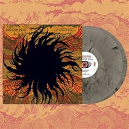 Load image into Gallery viewer, Neurosis - An Undying Love For A Burning World