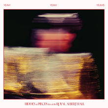 Load image into Gallery viewer, Yeah Yeah Yeahs - Hidden In Pieces Live At The Royal Albert Hall