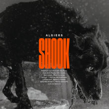 Load image into Gallery viewer, Algiers - Shook