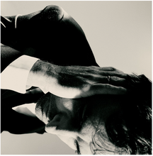 Load image into Gallery viewer, Andrew Bird - Inside Problems