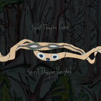 Load image into Gallery viewer, Animal Collective - Spirit They’re Gone, Spirit They’ve Vanished