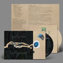 Load image into Gallery viewer, Animal Collective - Spirit They’re Gone, Spirit They’ve Vanished