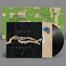 Load image into Gallery viewer, Animal Collective - Spirit They’re Gone, Spirit They’ve Vanished