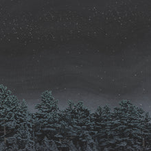 Load image into Gallery viewer, The Besnard Lakes are the Prayers for the Death of Fame