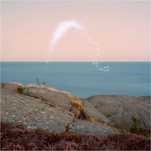 Load image into Gallery viewer, Cassandra Jenkins - An Overview on Phenomenal Nature