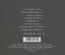 Load image into Gallery viewer, Nick Cave & The Bad Seeds - Push The Sky Away