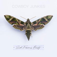 Load image into Gallery viewer, Cowboy Junkies - Such Ferocious Beauty