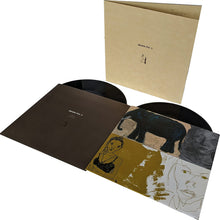 Load image into Gallery viewer, Damien Rice - O