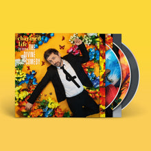 Load image into Gallery viewer, Divine Comedy, The - Charmed Life, The Best Of The Divine Comedy