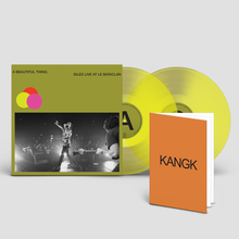 Load image into Gallery viewer, Idles - A Beautiful Thing : Live at Le Bataclan