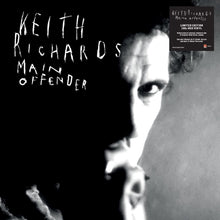 Load image into Gallery viewer, Keith Richards - Main Offender