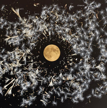 Load image into Gallery viewer, Lisa O’Neill - All Of This Is Chance