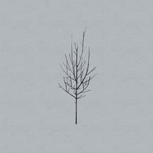 Load image into Gallery viewer, Low - Ones and Sixes