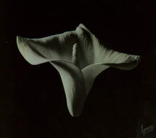 Load image into Gallery viewer, Mike Patton & Jean-Claude Vannier - Corpse Flower