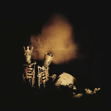 Load image into Gallery viewer, Pearl Jam - Riot Act