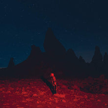 Load image into Gallery viewer, Phoebe Bridgers - Punisher