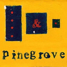 Load image into Gallery viewer, Pinegrove - Everything So Far